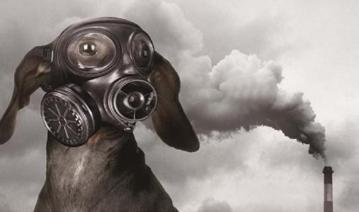 voc在線監(jiān)測設(shè)備市場調(diào)研報告